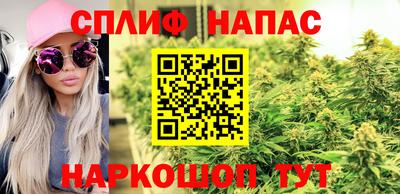 стаф Бузулук