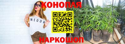 прущие грибы Бугуруслан