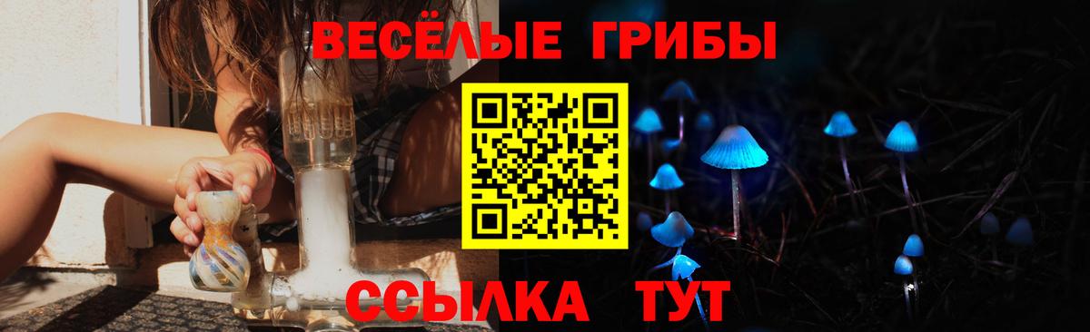 Рязань  Псилоцибиновые грибы Psilocybe  Вход с VPN 